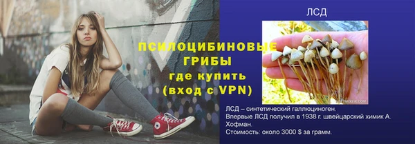 гашик Зерноград
