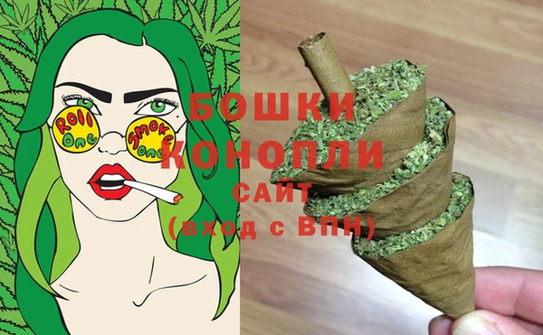 гашик Зерноград
