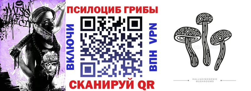 Галлюциногенные грибы GOLDEN TEACHER  Купить  Котово 